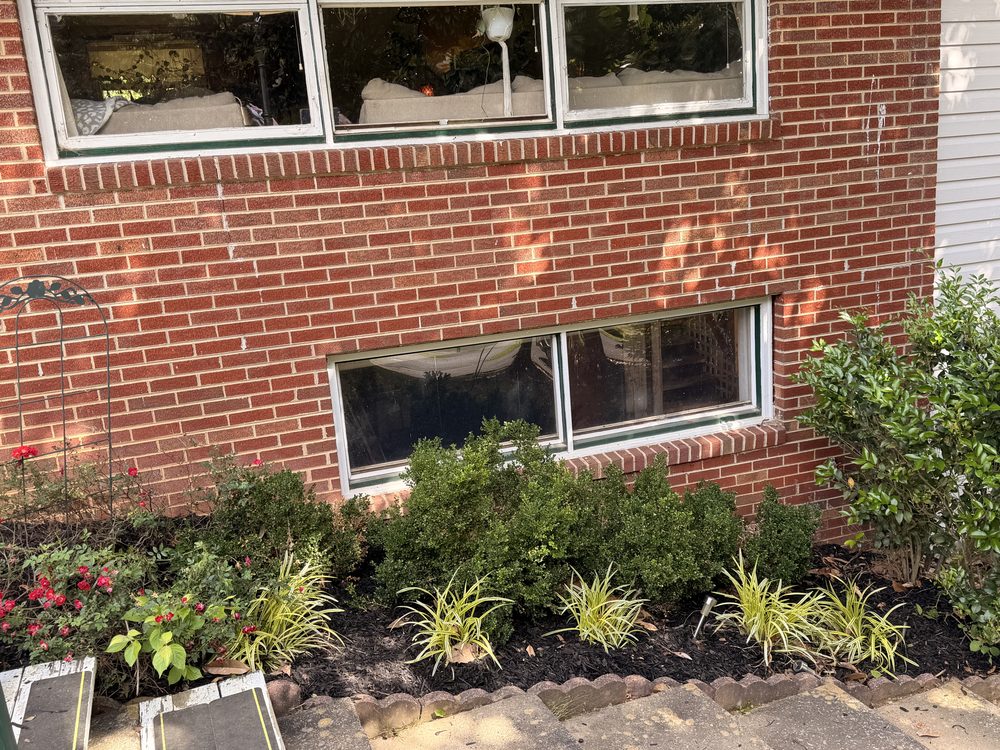 Foundation planting bed with boxwoods, liriope and roses freshly mulched against brick