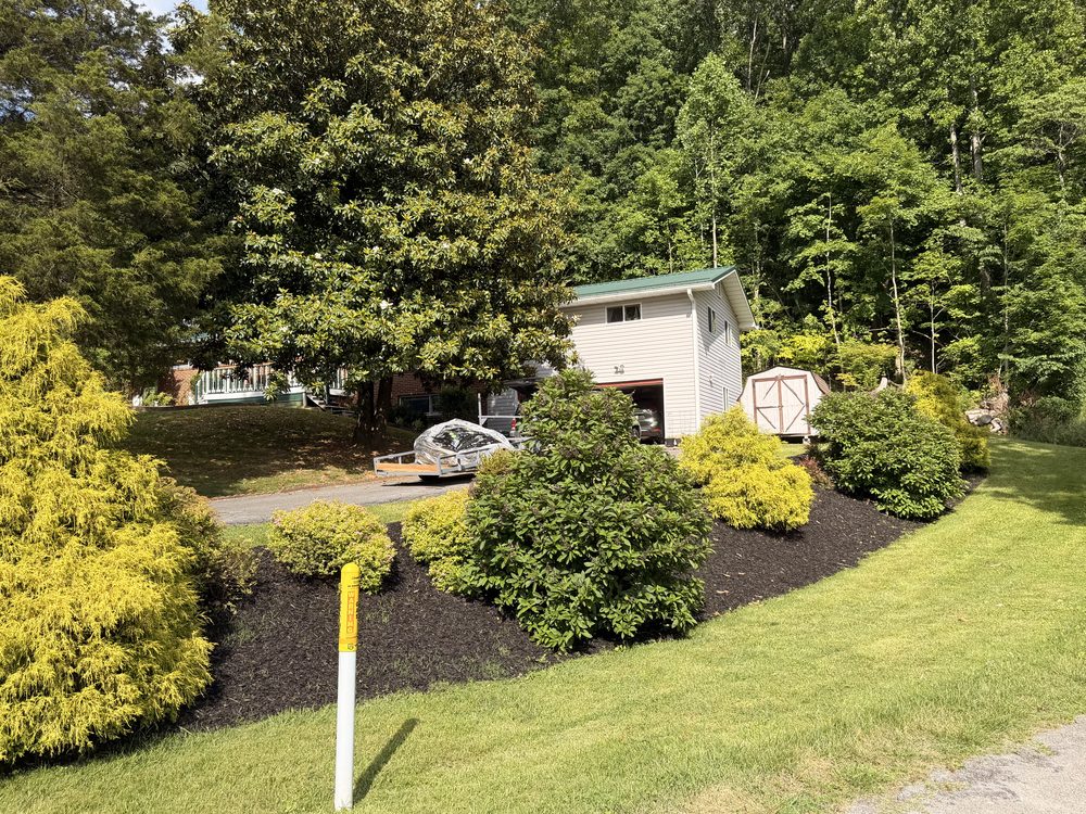 Freshly mulched landscaping beds with mixed shrubs at a Tri-Cities TN home